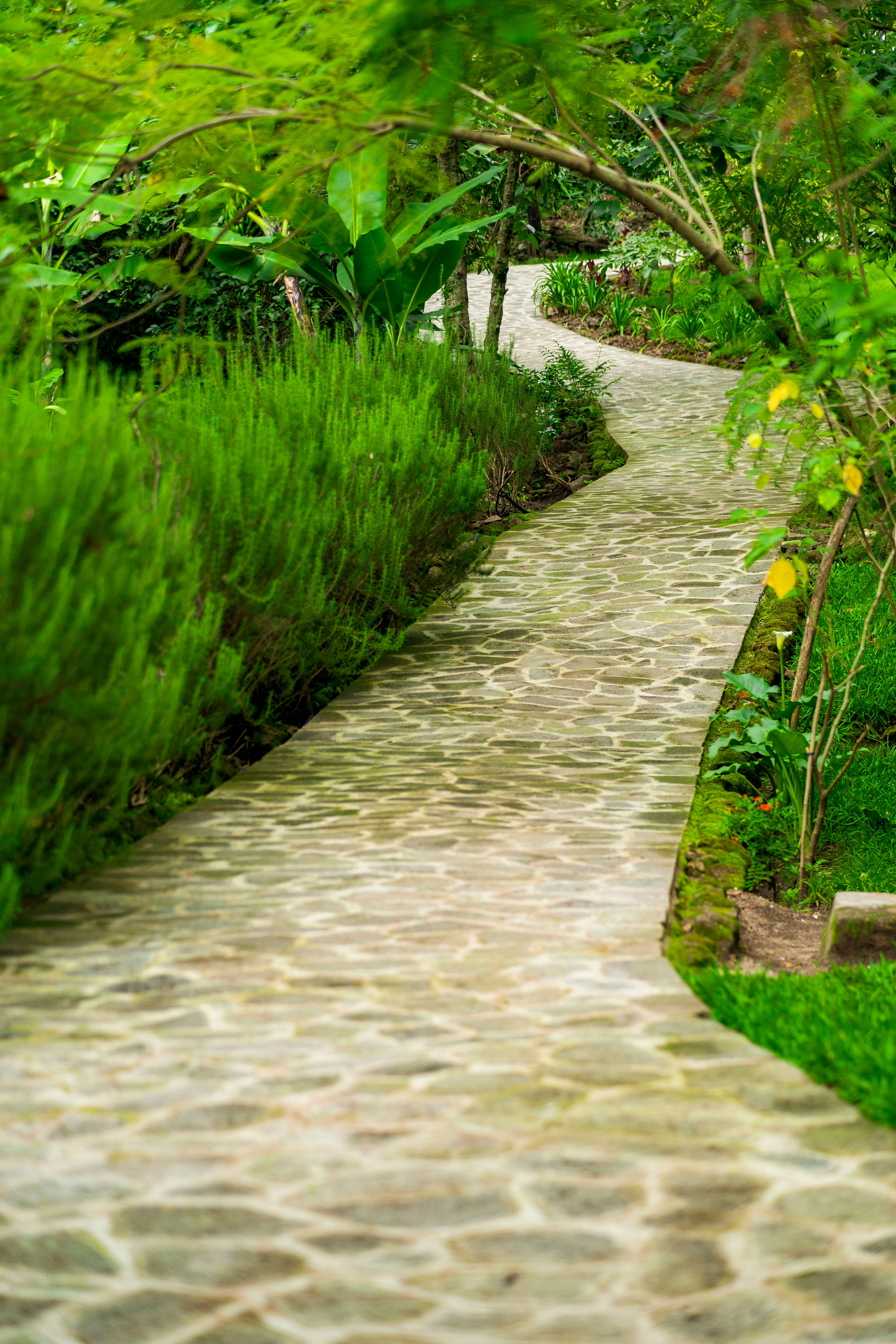 Garden Terrace
