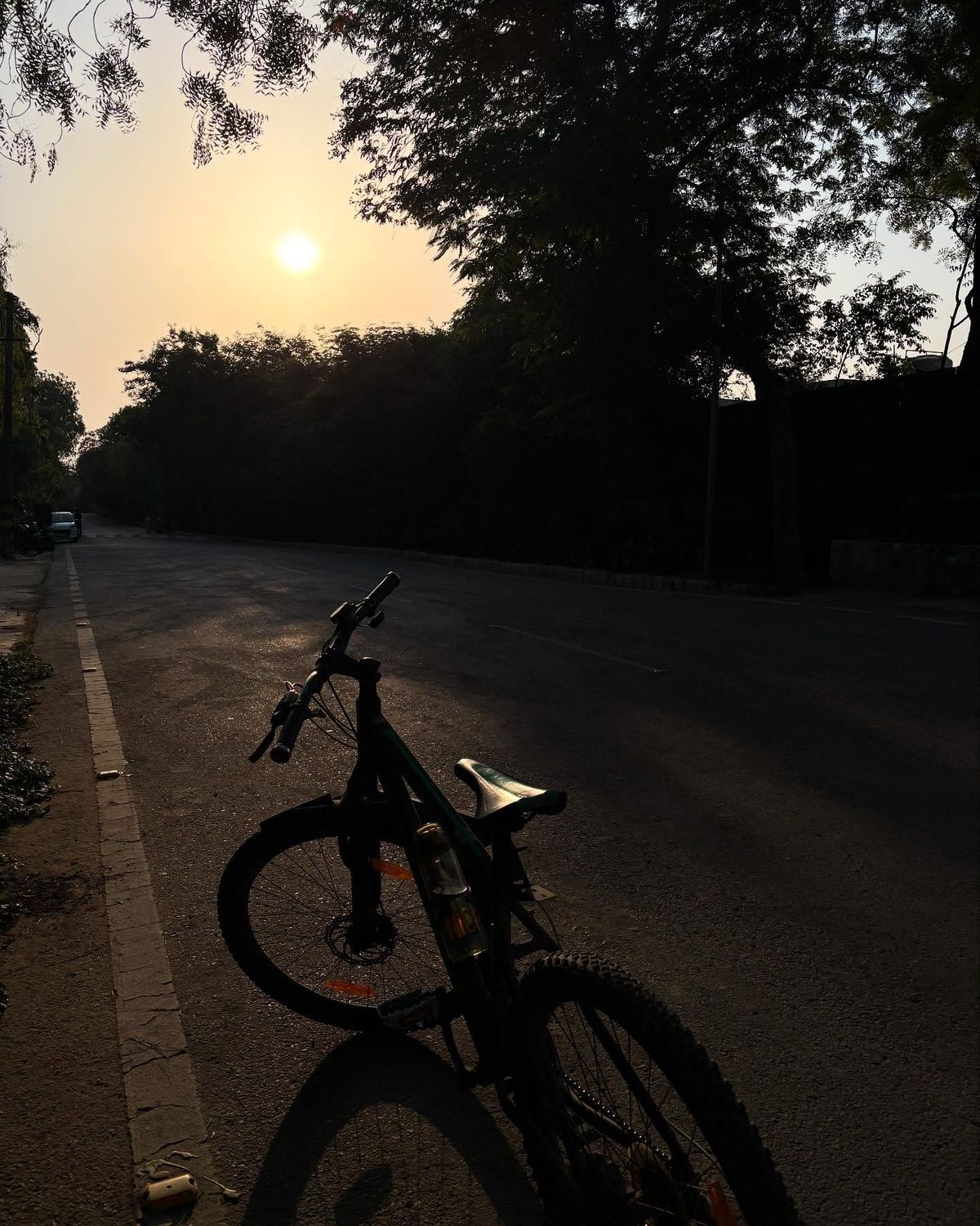 Bike Rental