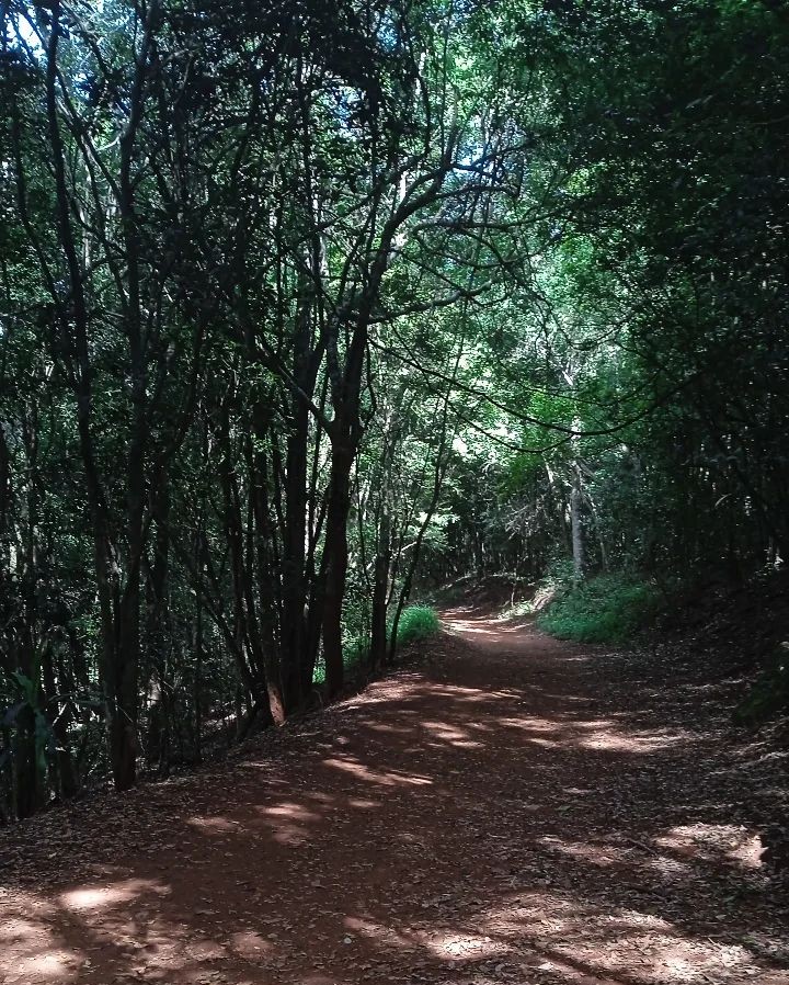 Musanze Nature Walk