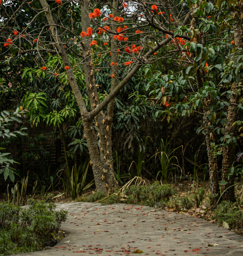 Gardens
